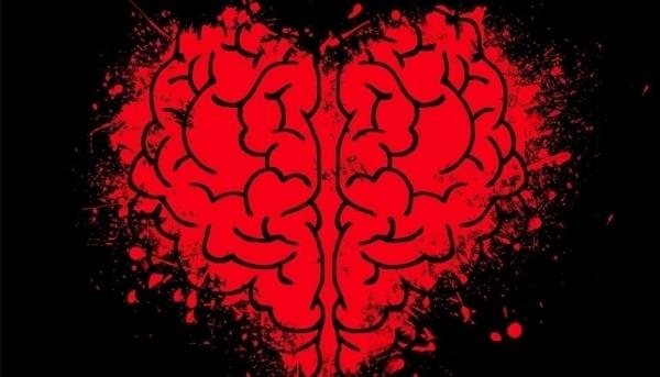 ماذا يحدث للدماغ في حالة الوقوع في الحب