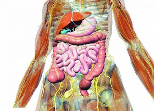 نصائح لتطهير الجسم من السموم
