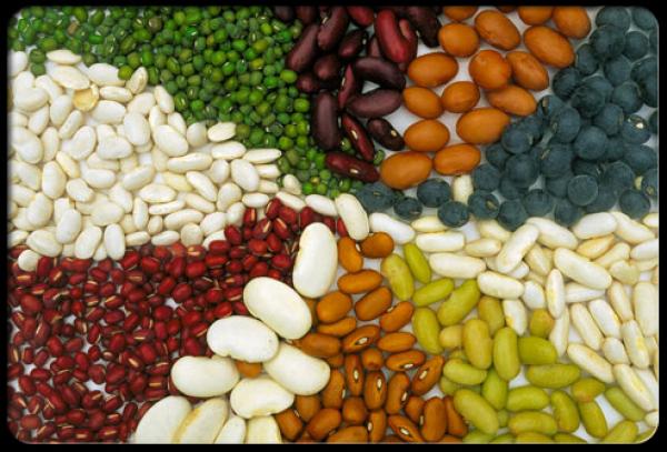 الأطعمة الغنية بالألياف تساعد في إنقاص الوزن