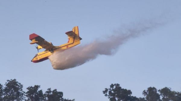 طائرات "كانادير" تواصل إخماد حريق غابة "جبل بوهاشم العلم"