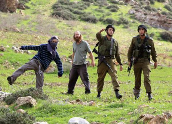 فلسطين : مستوطنون يحرقون مساحات شاسعة من أراضي قرية بورين