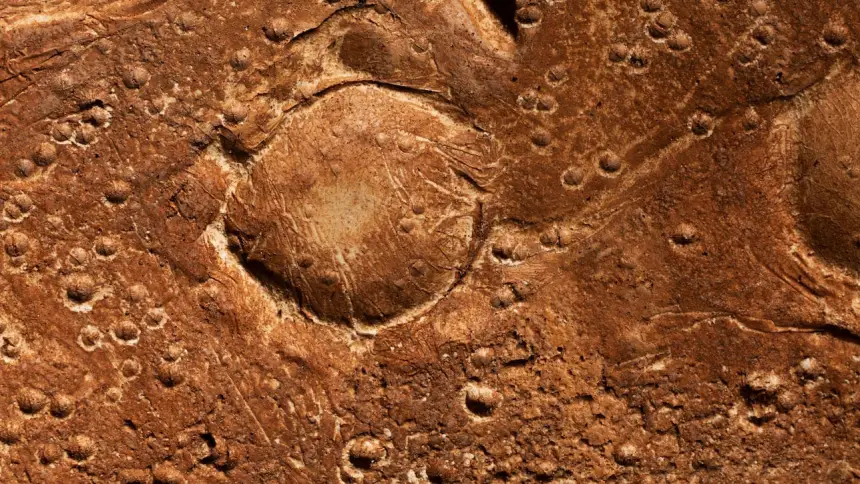 أمريكي يشتري حجرًا من المغرب ليكتشف بعد سنوات مفاجأة غير متوقعة!