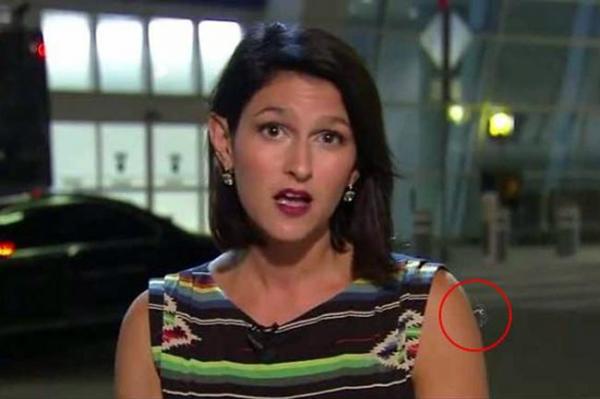 بالفيديو: عنكبوت يهاجم مذيعة أثناء بث حي