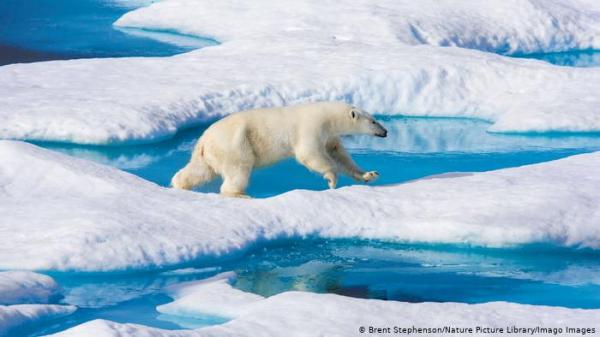 تقلص الجليد في القطب الشمالي إلى ثاني أدنى مستوى مسجل
