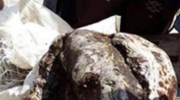 يمنيان خرجا للصيد فعادا بـ30 مليون ريال