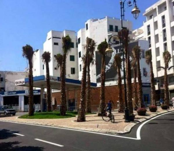 مع قرب الزيارة الملكية.. ساكنة تطوان تستفيق على وقع ظهور مفاجئ لنخلات عملاقة و طرق معبدة !