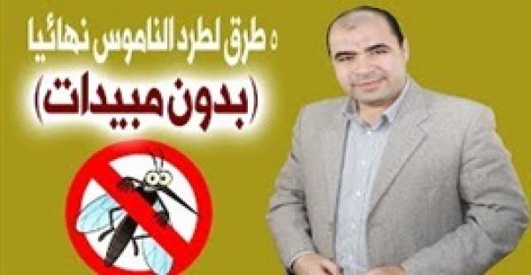 5 طرق فعالة لطرد الناموس دون مبيدات حشرية (فيديو)