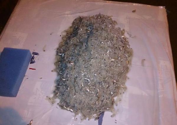 استمرار اصطياد سمك &quot;الشنكيطي&quot; يهدد الثروة السمكية بالسواحل المتوسطية للمغرب