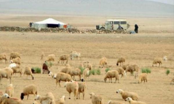 خطير ما يقع الآن...اشتباكات عنيفة بين الرعاة الرحل ومواطنين بإشتوكة ايت بها تخلف عدة إصابات وانقطاع الأطفال عن الدراسة