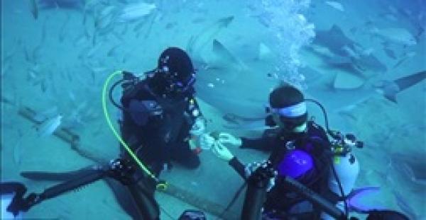 بالفيديو والصور.. شاب يطلب يد فتاة بين أسماك القرش