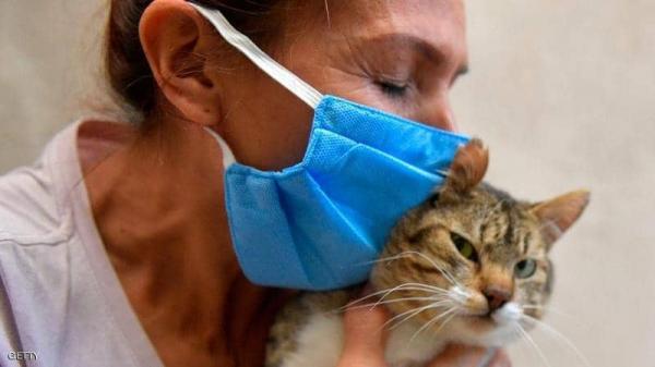 ما الحيوان الذي ينقل كورونا إلى البشر .. الكلاب أم القطط؟!