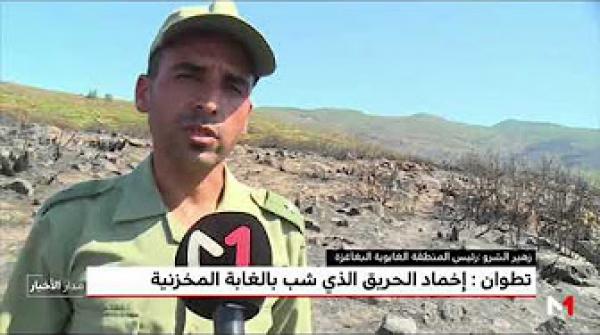 تطوان: إخماد الحريق الذي شب بالغابة المخزنية