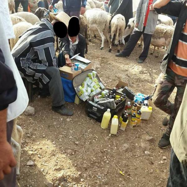 فايسبوكيون يكشفون سبب تعفن لحوم الأضاحي