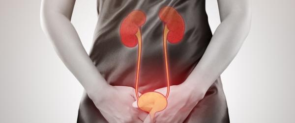 أطعمة ينصح بتفاديها في رمضان لحماية المسالك البولية