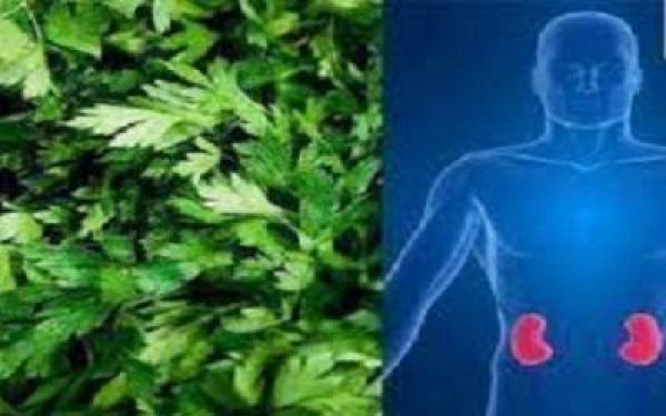 تعلم كيف تغسل كليتك يوميا طبيعيا