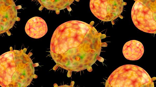 خبر مفرح: العلماء يؤكدون انخفاض الأنواع الفرعية لمتحور "أوميكرون"