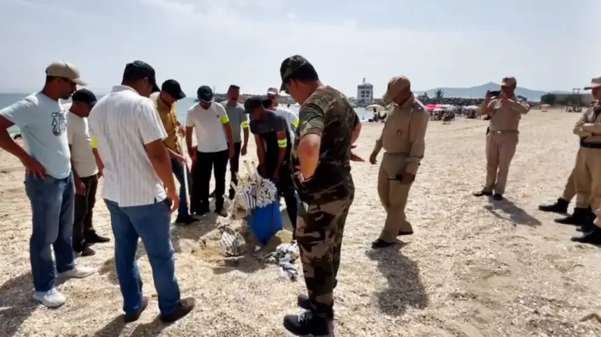 قائد يكشف مخابئ مظلات شمسية مخصصة للكراء جرى إخفاؤها تحت رمال شاطئ "كابيلا" بالفنيدق