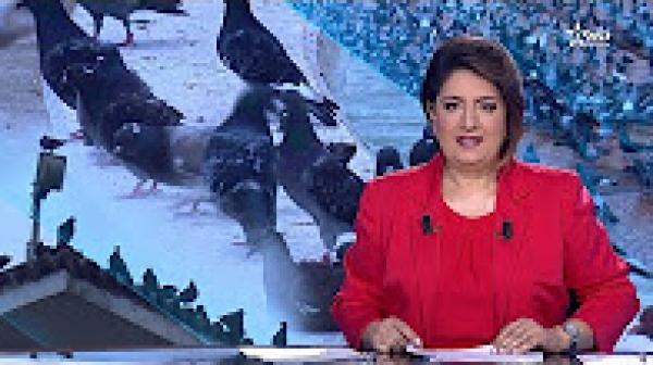 تقليص حمام نافورة ساحة محمد الخامس بسبب الفضلات !