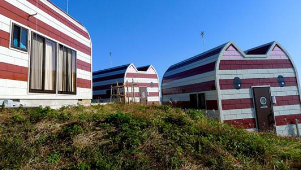 "جزيرة القطط" جنة القطط الضالة في اليابان