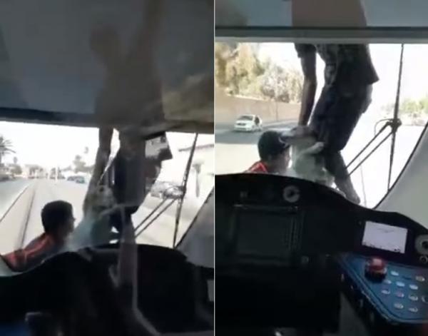 قلة التربية...حتى الكلب معلق فترامواي الرباط