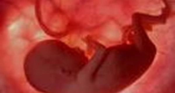 هل ينام الجنين في بطن أمه؟