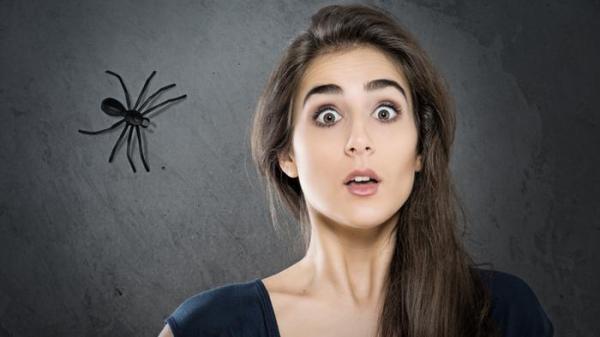 تطبيق يساعد في التغلب على الخوف من العناكب