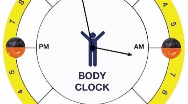 هل تؤثر الساعة البيولوجية على علاج السرطان؟