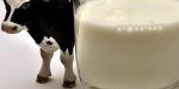 دراسة: تناول كوب من الحليب يوميًا يقلل خطر الإصابة بالسكري