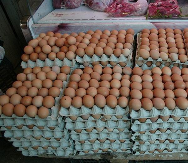 المغاربة يثورون من جديد ضد تجار البيض ودعوات مكثفة لمقاطعة اقتنائه