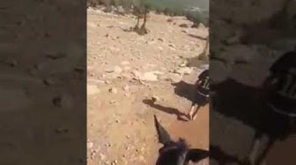 معاناة مرهقة لساكنة دوار مراو جماعة أكليف بإقليم الصويرة بسبب العطش