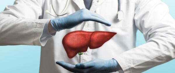 علماء يتمكنون من القضاء على سرطان الكبد لدى الفئران باستخدام تقنية جديدة!