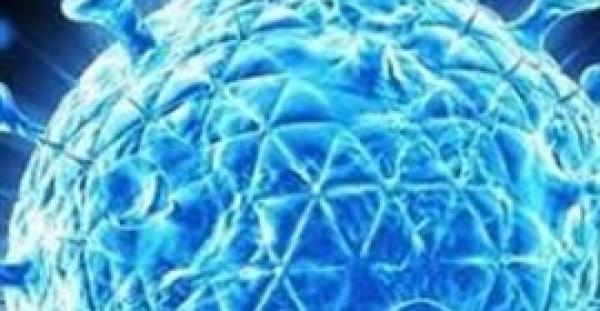 التوصل لمركبات طبيعية لمكافحة فيروس الإيدز