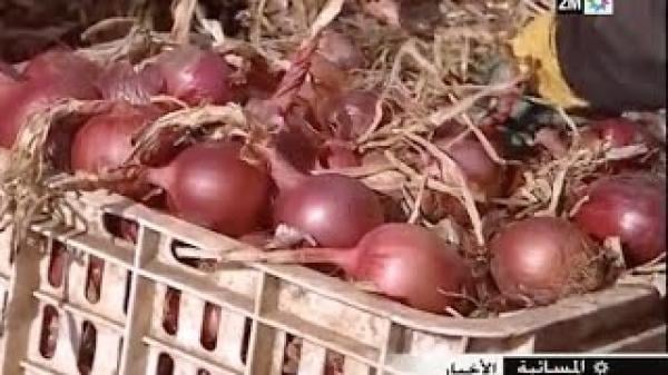 فلاحون يكشفون السبب الحقيقي لارتفاع أسعار البصل في الأسواق