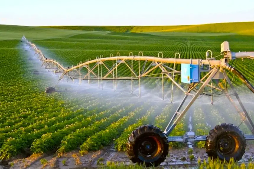 تساقطات قياسية تنعش سهل اللوكوس.. مخزون السدود يمتلئ والزراعات تدخل مرحلة واعدة