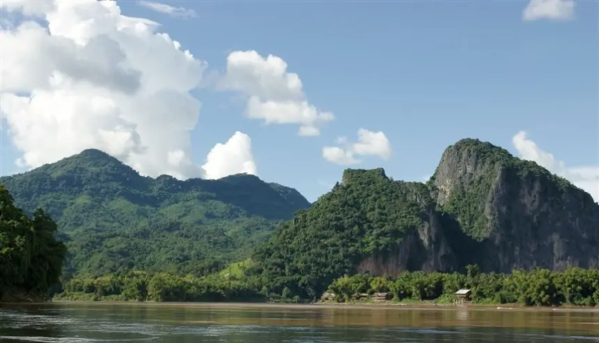 اكتشاف 230 نوعاً جديداً من الكائنات الحية في جنوب شرق آسيا