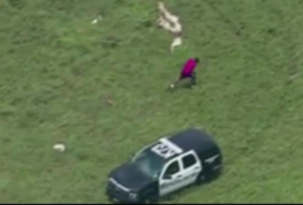 بالفيديو: شرطي يقفز من مروحية وينقض على لص