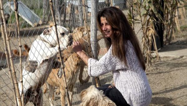 بالصور : مغربية تهدي الحيوانات الضالة  " محمية "  طبيعية