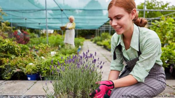 دراسة: البستنة تعالج الإكتئاب والقلق وتقي من الخرف!
