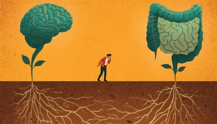 التوتر لا يغادر الأمعاء: دراسة تكشف علاقته الطويلة بمتلازمة القولون العصبي