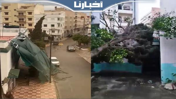 رياح قوية تتسبب في سقوط أشجار بمدينة تطوان