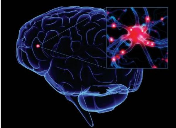 لقاح جديد لالتهاب السحايا