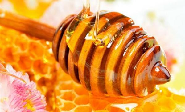 هل تنجح حمية "العسل" في خفض الوزن؟