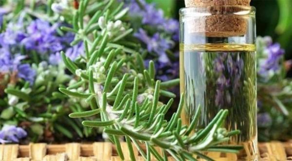 زيوت طبيعية تساهم في تسريع شفاء كسور العظام