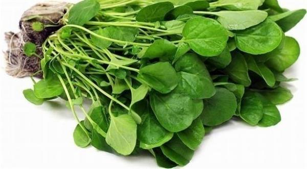 بعد سن الأربيعن... أطعمة منصوح بها للوقاية من الأمراض المزمنة