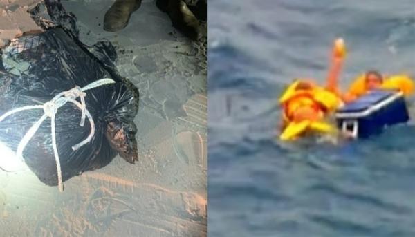 شخصان يجلبان 560 كيلوغراماً كوكايين عبر المحيط