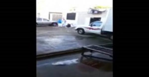 بالفيديو.. «قط» يفترس ذبيحة داخل سلخانة