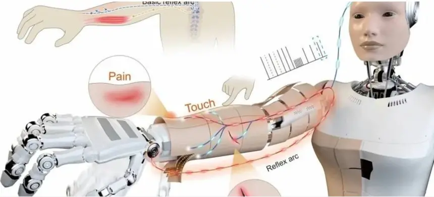 علماء يطورون جلدا ذكيا يمنح الروبوتات الإحساس بالألم واكتشاف الجروح فورا