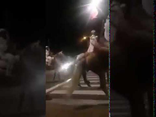 سقوط فارس من ظهر جواده وإطلاقه النار بالخطأ من بندقيته