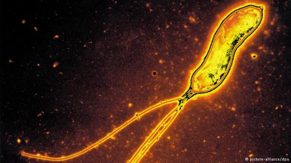 جرثومة هليكوباكتر بيلوري – خطر مختبئ في المعدة