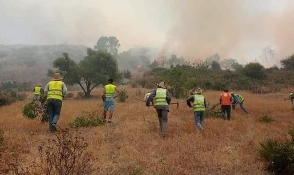 حرائق غابات وزان ... مجهودات جبارة من أجل احتواء النيران والحيلولة دون انتقالها إلى التجمعات السكنية